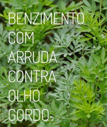 Benzimento
